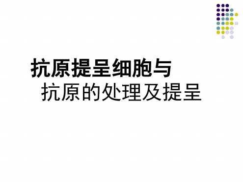 11APC和抗原提呈