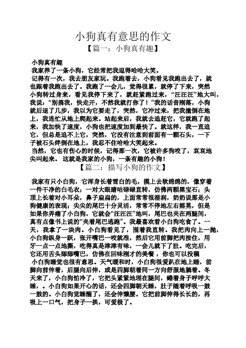 狗作文之小狗真有意思的作文