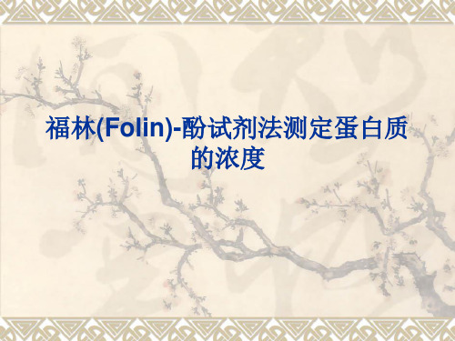 2福林(Folin)-酚试剂法测定