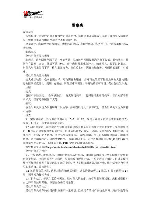 【男性生殖感染揭秘与治疗】附睾炎
