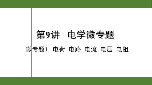2020年浙江物理中考专题复习第9讲电学之微专题1  电荷  电路  电流    电压  电阻
