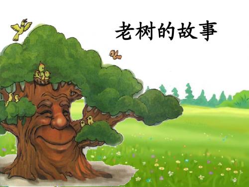 5《老树的故事》PPT课件