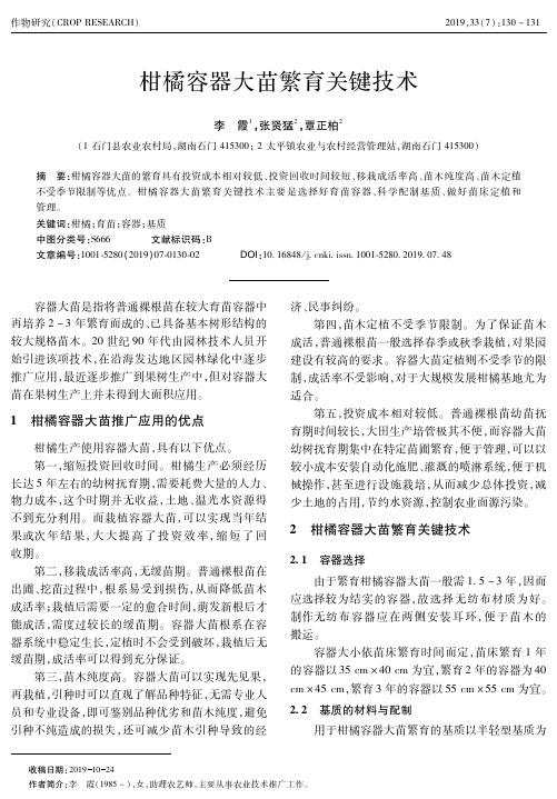 柑橘容器大苗繁育关键技术