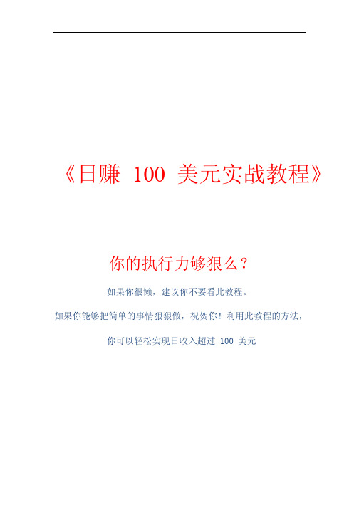 日赚100美元实战教程 王通编写
