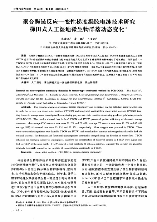 聚合酶链反应-变性梯度凝胶电泳技术研究梯田式人工湿地微生物群落动态变化