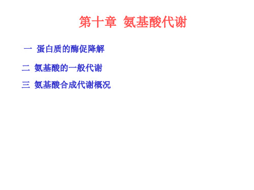 氨基酸氧化酶