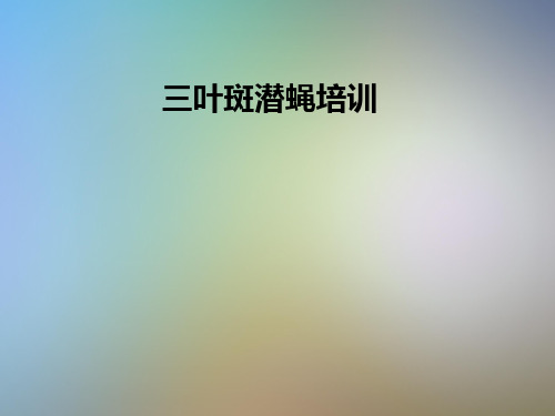 三叶斑潜蝇培训