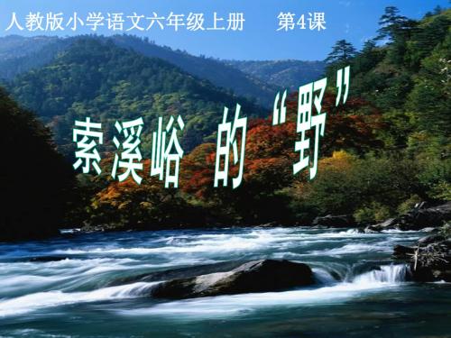 人教版小学语文六年级上册：索溪峪的“野”