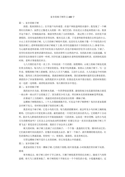 家乡的柿子树作文400字优秀作文