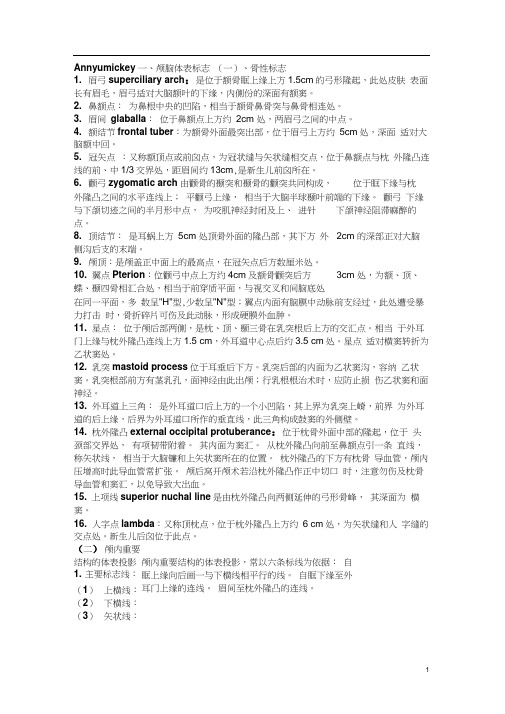 颅脑体表标志