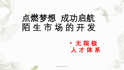陌生市场的开发ppt课件
