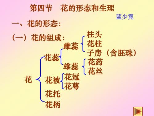 花的形态精选教学PPT课件