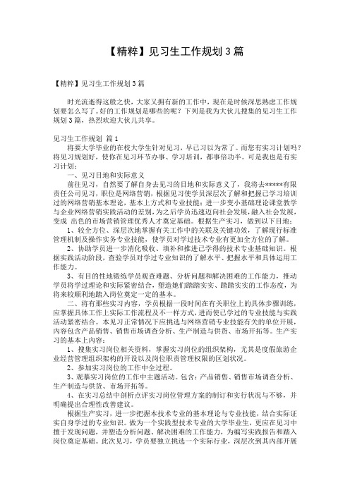 【精粹】见习生工作规划3篇
