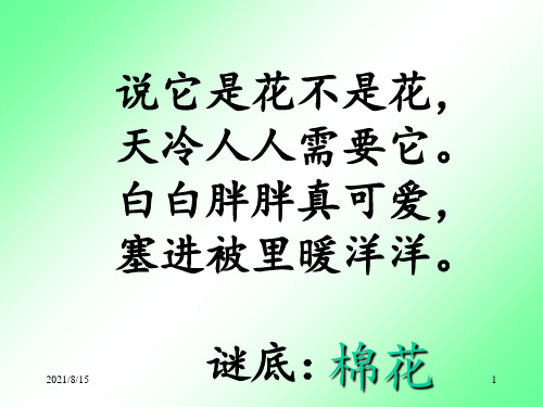 (赛课课件)人教部编版一年级下册语文《棉花姑娘》(共19张PPT)