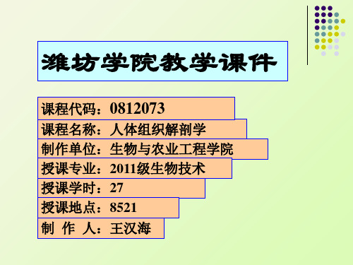 人体组织解剖学运动系统