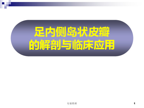 足内侧岛状皮瓣的解剖与临床应用[荟萃精制]