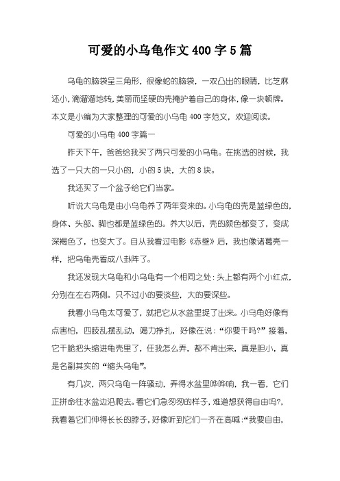 可爱的小乌龟作文400字5篇