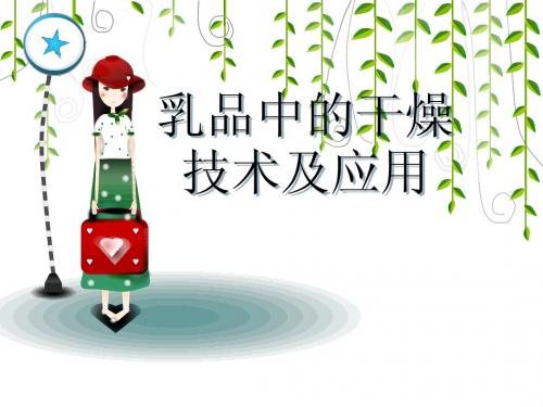 乳品干燥技术及应用