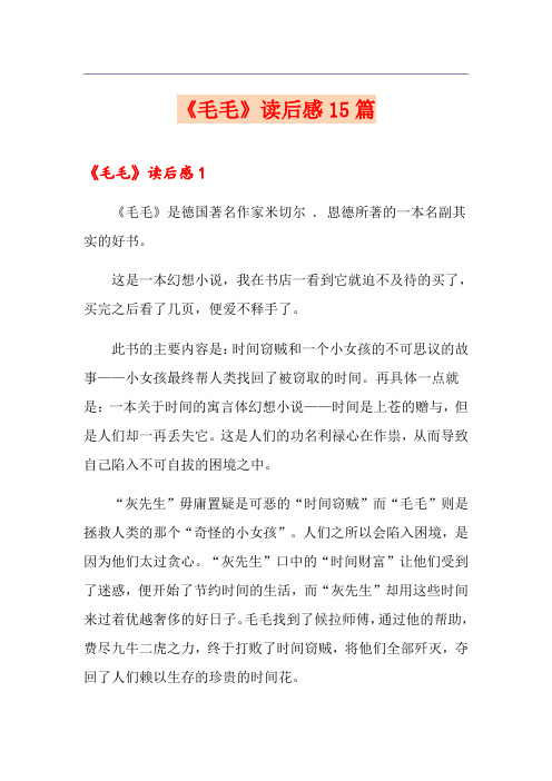 《毛毛》读后感15篇