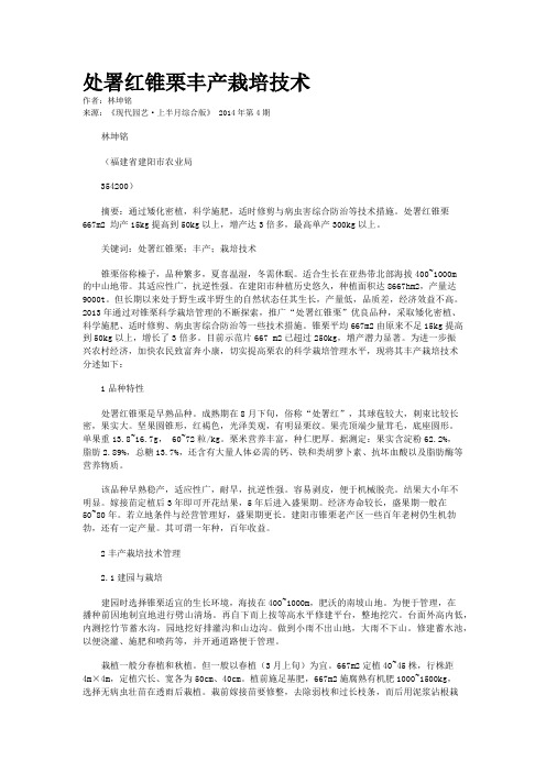 处署红锥栗丰产栽培技术