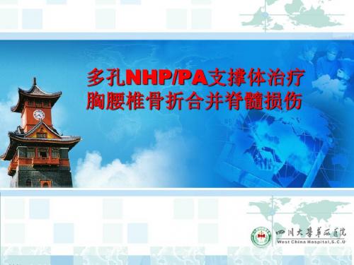 多孔NHPPA支撑体治疗胸腰椎骨折合并脊髓损伤-精选文档