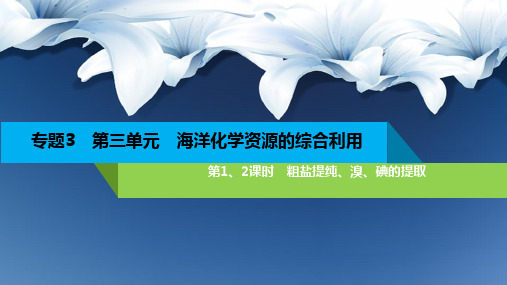 3.3 海洋化学资源的综合利用 课件【新教材】苏教版(2019)高中化学必修第一册