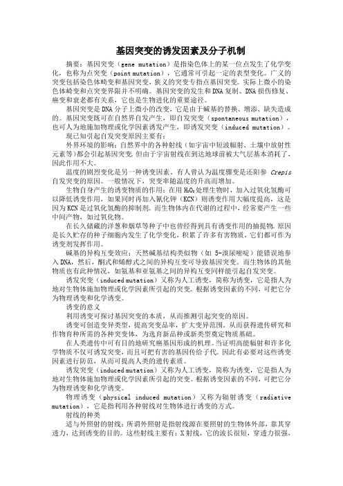 基因突变的诱发因素和分子机制