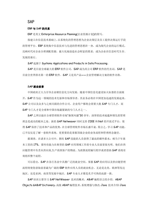 SAP简单介绍