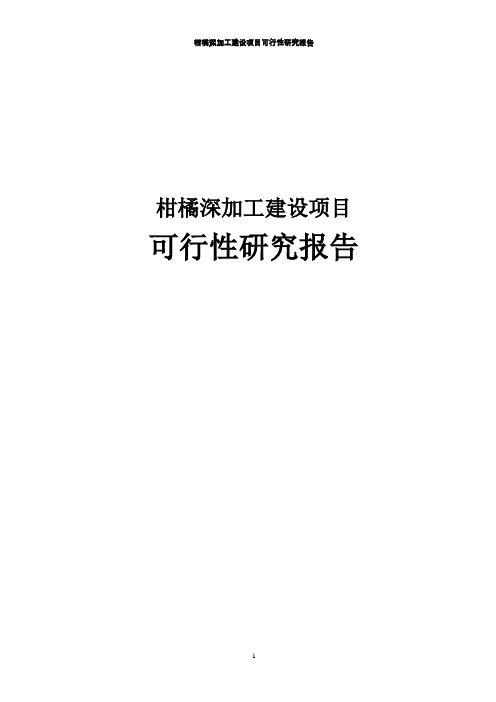 柑橘深加工项目可行性研究报告