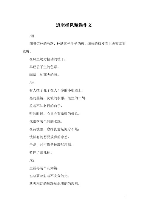 追空捕风精选作文