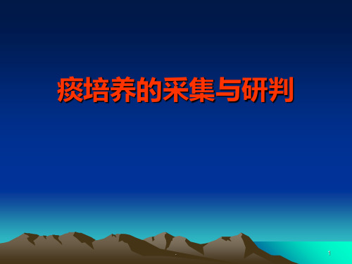 痰培养的采集与研判PPT课件