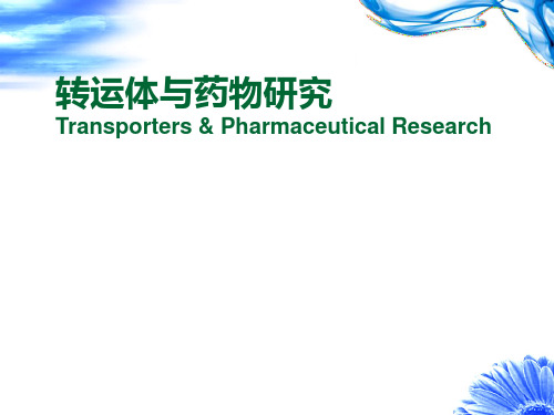 转运体与药物研究PPT课件