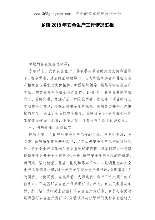 乡镇2018年安全生产工作情况汇报