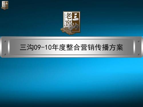 三沟2019-2019整合营销传播方案-PPT文档资料