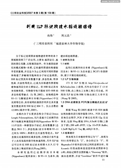 利用ILP标记构建水稻连锁图谱