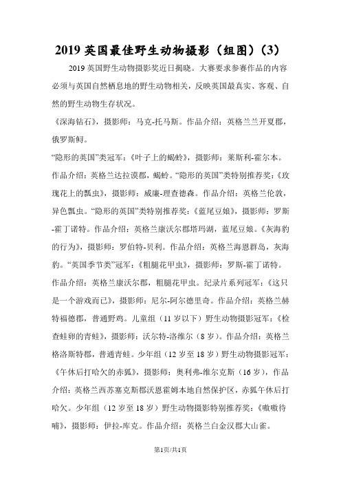 英国最佳野生动物摄影(组图)(3)