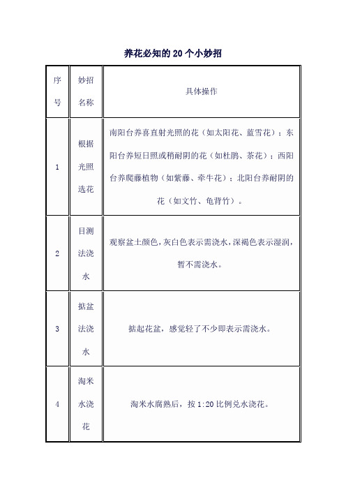 养花必知的20个小妙招