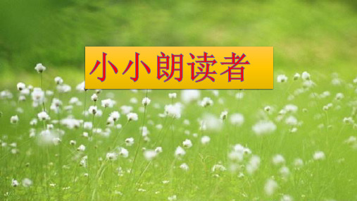 《语文园地八：和大人一起读：三只白鹤》PPT(部编版)优质课