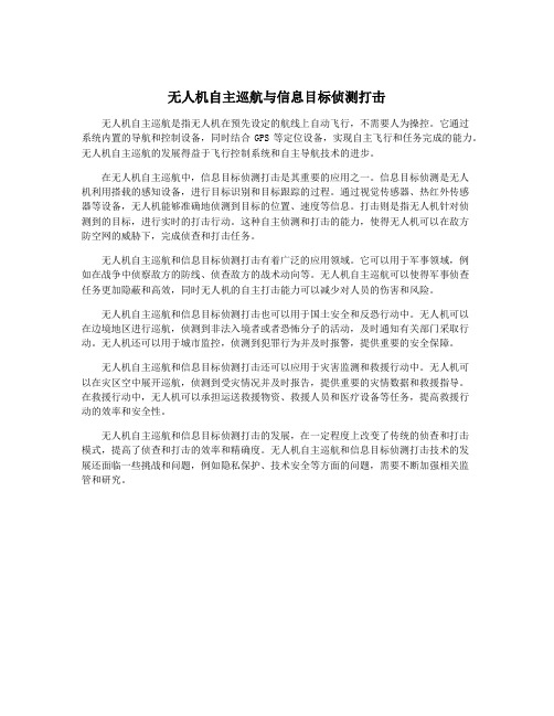 无人机自主巡航与信息目标侦测打击