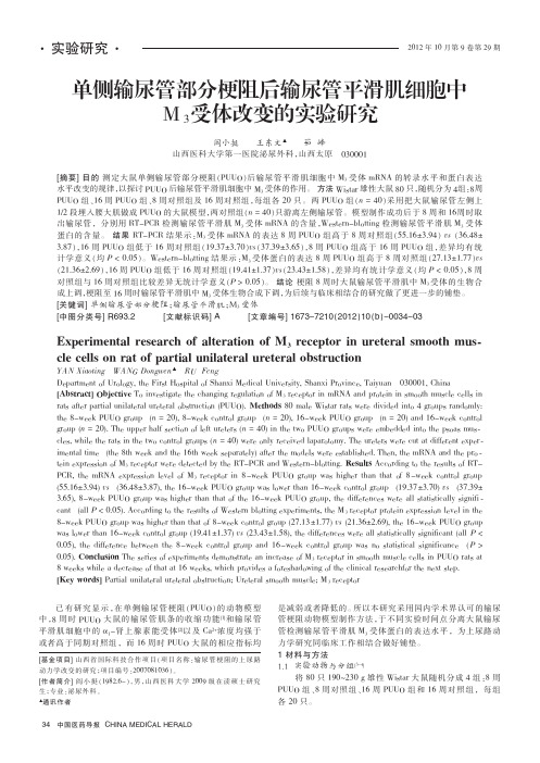 单侧输尿管部分梗阻后输尿管平滑肌细胞中M_3受体改变的实验
