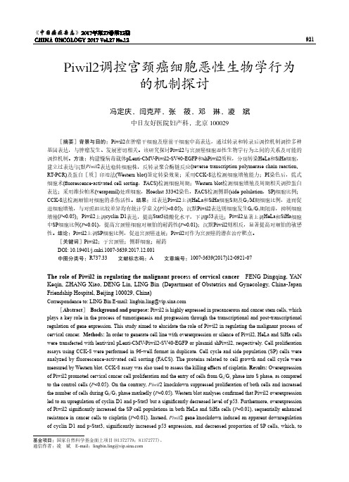 Piwil2调控宫颈癌细胞恶性生物学行为的机制探讨