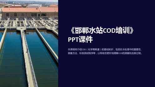 《邯郸水站COD培训》课件