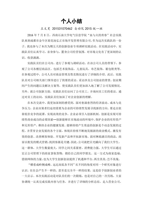 个人总结王文昊