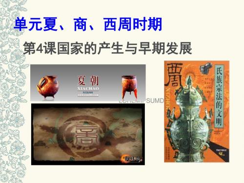 国家的产生与早期发展PPT课件5