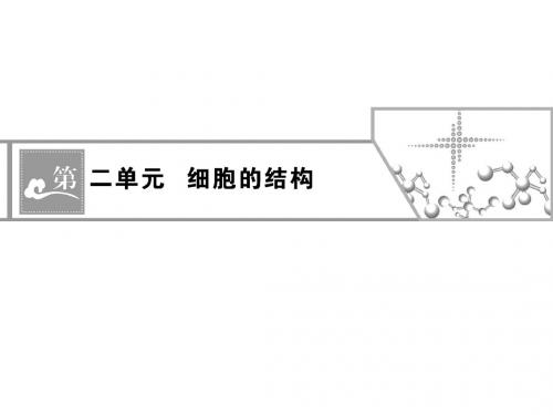 必修1 第二单元细胞的结构——第3讲 主要细胞器的结构和功能