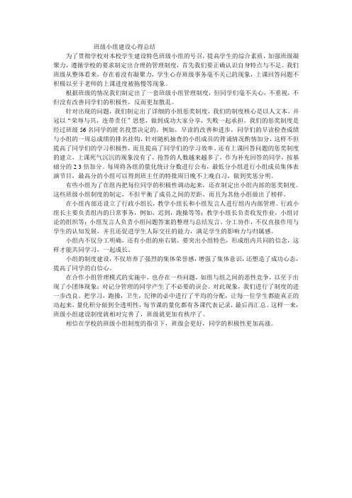 班级小组建设心得总结
