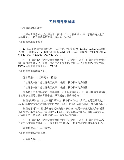 乙肝病毒学指标