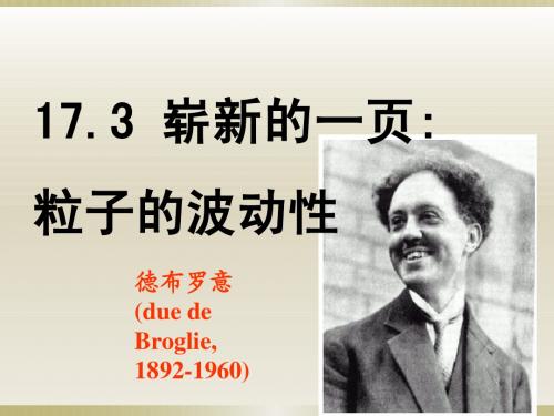 崭新的一页粒子的波动性及概率波