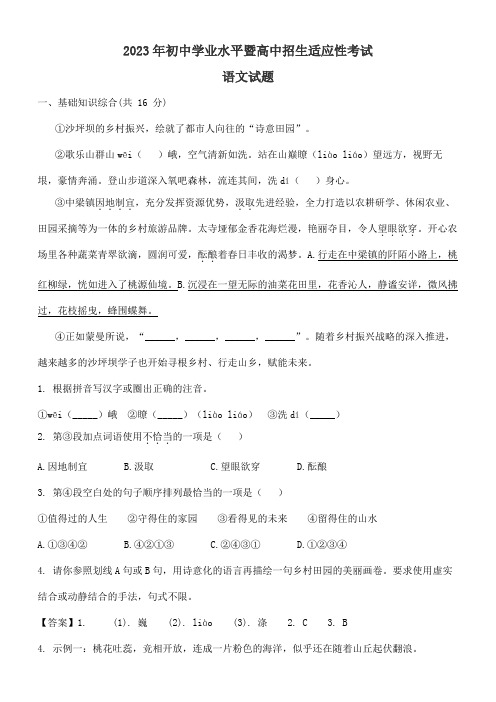 2023年初中学业水平暨高中招生适应性考试语文试题卷含答案解析