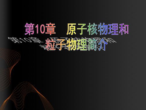 第10章 原子核物理和粒子物理简介